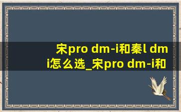 宋pro dm-i和秦l dmi怎么选_宋pro dm-i和秦plus dmi怎么选